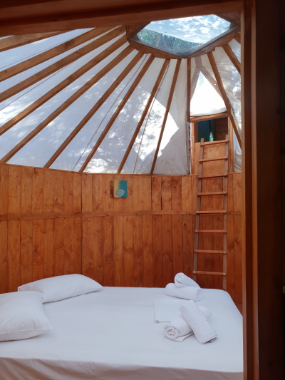 tipi 400x533